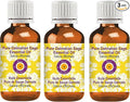 Deve Herbes Pure Sage Essential Oil (Salvia officinalis) Steam Distilled (Pack of Three) 100ml X 3 (10 oz)