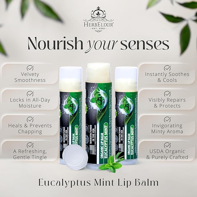 Organic Lip Balm Chapstick Bulk 3 Pack – Eucalyptus Mint – Natural Beeswax Lip Balm – Moisturizer for Very Dry, Chapped Lips
