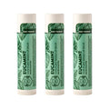 Crate 61 Lip Balm Eucamint – Plastic-Free Plant Pod® Tube – Made with USDA Organic Ingredients – Cooling Peppermint & Eucalyptus – Natural Lip Care for Dry, Chapped Lips – Safe for Men, Women & Kids