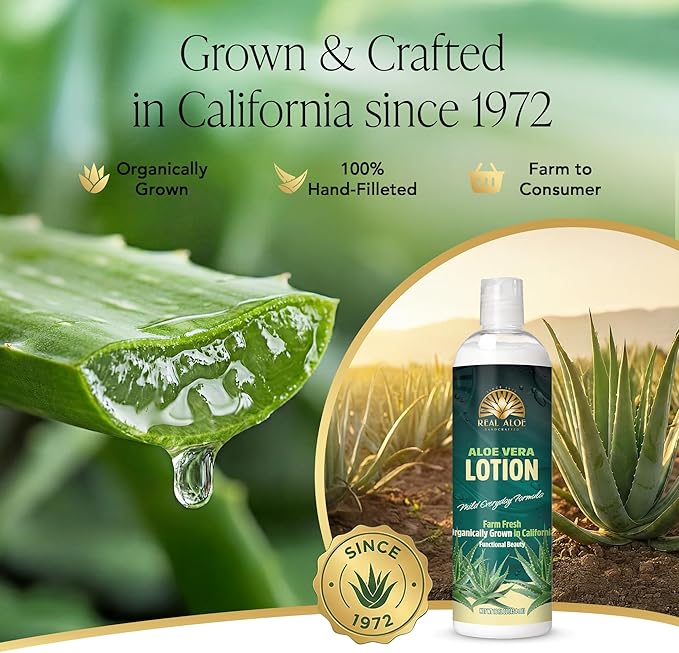 Real Aloe Aloe Vera Lotion (16 fl oz) | Organic Aloe for Face, Body & Hands | Lightweight, Fast-Absorbing Moisturizer | Non-Greasy Hydration for Dry & Sensitive Skin | Made in USA
