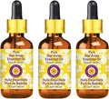 Deve Herbes Pure Star Anise Essential Oil (lllicium verum) with Glass Dropper Steam Distilled (Pack of Three) 100ml X 3 (10 oz)