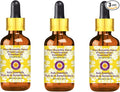 Deve Herbes Pure Boswellia Sacra (Frankincense) Essential Oil (Boswellia Sacra) with Glass Dropper Steam Distilled 100ml X 3 (10 oz)
