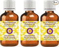 Deve Herbes Pure Palmarosa Essential Oil (Cymbopogon martinii) Steam Distilled (Pack of Three) 100ml X 3 (10 oz)