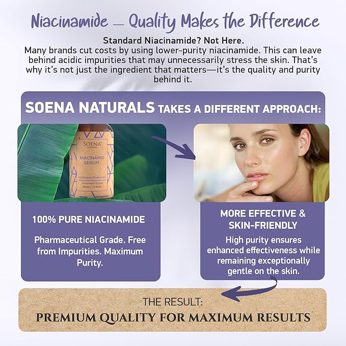 Organic Niacinamid Serum High Dose • The Best + 7 Power Active Ingredients = Hyaluron, Vitamin C, Niacinamide • Highly Effective Retinal (Niacinamid Serum, 1.70 Fl Oz)