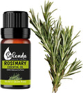 Rosemary Oil for Hair Growth by Salenda - 100% Pure Essential Oils, for Diffuser, Hair & Skin Care, Humidifiers - 0.34 Fl Oz (10 ml)