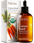 Gya Labs USDA Organic Carrot Seed Oil - 1 Fl Oz - Carrier Oil for Hair, Skin, Face, Scalp & Body Massage
