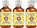 Deve Herbes Pure Ravintsara Essential Oil (Cinnamomum camphora) Steam Distilled (Pack of Three) 100ml X 3 (10 oz)