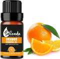 Orange Essential Oil -100% Pure Natural Aromatherapy Essential Oils for Diffuser, Candle Making,Skin-0.34 Fl Oz (10 ml)