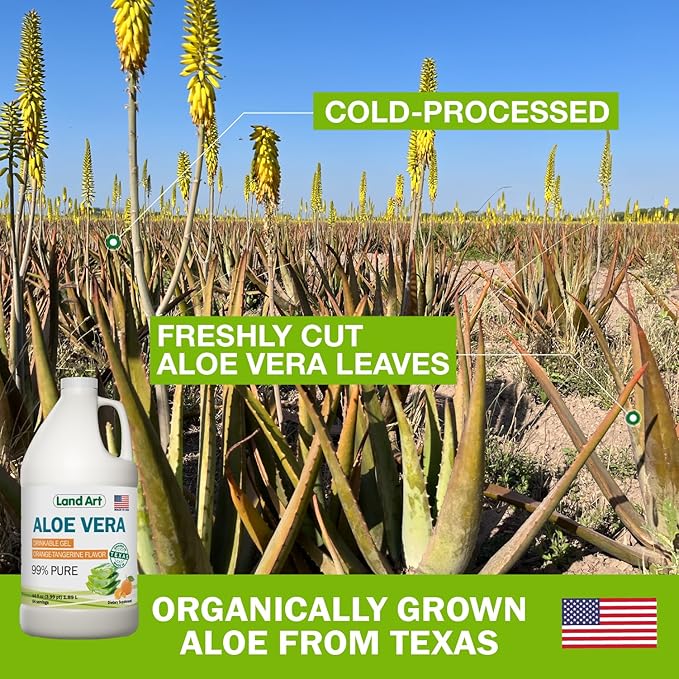 Land Art Pure Aloe Vera Drinkable Gel - Orange Tangerine Flavored - Cold-Processed Inner Filet - from Organic Fresh Leaves from Texas - for Heartburn Relief - Acid Reflux - 64 fl oz