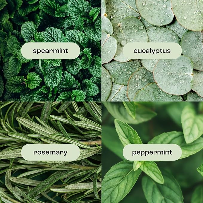 Natural Inspirations Eucalyptus Rosemary Mint Exfoliating Face + Body Scrub 6oz