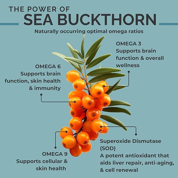 SEABUCKWONDERS Organic Sea Buckthorn Seed Oil, 0.45 Fl Oz, 13 Servings, with Omega 3, 6 & 9, Can Be Used Topically & Orally, Supports Hair, Skin & Nail Health
