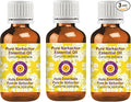 Deve Herbes Pure NAR Kachur Essential Oil (Curcuma zedoaria) Steam Distilled (Pack of Three) 100ml X 3 (10 oz)