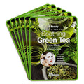 Saplaya Face Masks 6 Pack Scented Facemask Sheets Skin Care Mask Single Scent K-Beauty Natural Formula