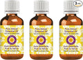 Deve Herbes Pure Vetiver Essential Oil (Vetiveria zizanoides) Steam Distilled (Pack of Three) 100ml X 3 (10 oz)