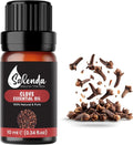 Clove Essential Oil for Diffusers for Home, Clove Oil for Teeth and Gums, Aromatherapy Oils, 100% Pure Natural, 0.34 Fl Oz (10 ml)