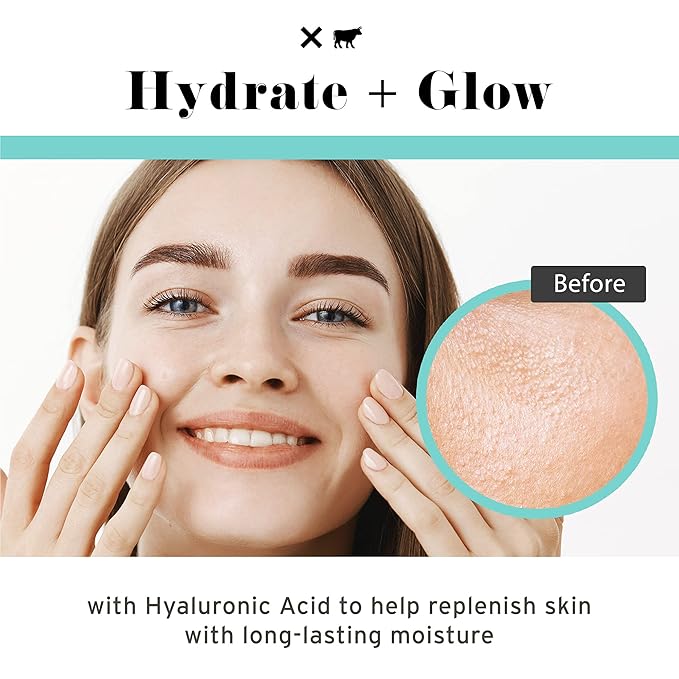 No B.S. (No Bad Stuff) Pure Hyaluronic Acid Serum For Face, Fine Lines & Wrinkles Serum, for All Skin Types, Clean Ingredients, Skin Care for Women & Men, Vegan, Travel Size, Unscented 1 FL Oz