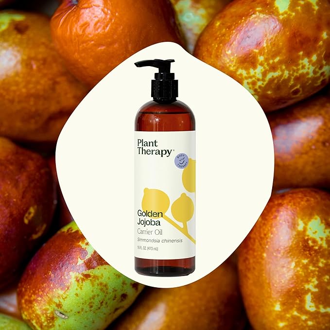 Plant Therapy Jojoba Golden Carrier Oil 16 oz 100% Pure, Cold-Pressed, Natural and GMO-Free Moisturizer and Carrier Oil for Essential Oils
