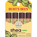 Burt's Bees Shea and Aloe Moisturizing Lip Balm, Lip Moisturizer With Responsibly Sourced Beeswax, Tint-Free, Natural Origin Conditioning Treatment, 4 Tubes, 0.15 oz.