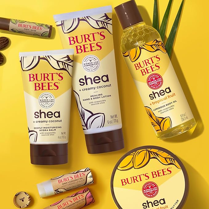 Burt's Bees Shea and Aloe Moisturizing Lip Balm, Lip Moisturizer With Responsibly Sourced Beeswax, Tint-Free, Natural Origin Conditioning Treatment, 4 Tubes, 0.15 oz.