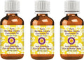 Deve Herbes Pure Mentha Citrata Essential Oil (Mentha citrata) Steam Distilled (Pack of Three) 100ml X 3 (10 oz)