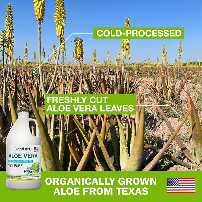 Organic Aloe Vera Drinkable Gel for Heartburn & Acid Reflux Relief - 99.7% Pure - Cold-Processed - Improves Digestive Health - Soothing and Natural - Vegan & Gluten-Free - 64 fl oz (Pack of 2)