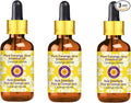 Deve Herbes Pure Cananga Java Essential Oil (Cananga odorata) with Glass Dropper Steam Distilled (Pack of Three) 100ml X 3 (10 oz)