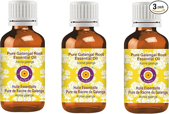 Deve Herbes Pure Galangal Root Essential Oil (Alpinia Galanga) Steam Distilled (Pack of Three) 100ml X 3 (10 oz)