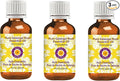 Deve Herbes Pure Galangal Root Essential Oil (Alpinia Galanga) Steam Distilled (Pack of Three) 100ml X 3 (10 oz)