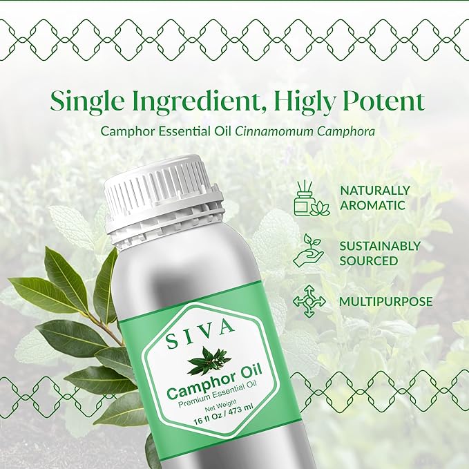 Siva Camphor Essential Oil - 16 Fl Oz – 100% Natural Camphor Oil - for Diffuser, Face, Skin Care, Aromatherapy, Hair Care, Scalp and Body Massage
