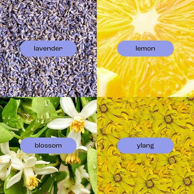 Natural Inspirations Lavender Ylang Exfoliating Face + Body Scrub 6oz