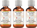 Greenwood Essential Pure Papaya Seed Oil (Carica Papaya) Cold Pressed (Pack of Three) 100ml X 3 (10 oz)