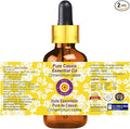 Deve Herbes Pure Cassia Essential Oil (Cinnamomum Cassia) with Glass Dropper Steam Distilled 15ml (0.50 oz)