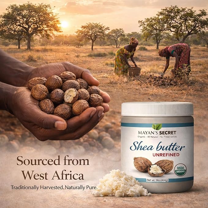 Mayan's Secret Organic Shea Butter USDA Certified, Raw, Unrefined, Ivory from Ghana Africa, Amazing for Skin Elasticity, Stretch Marks and body