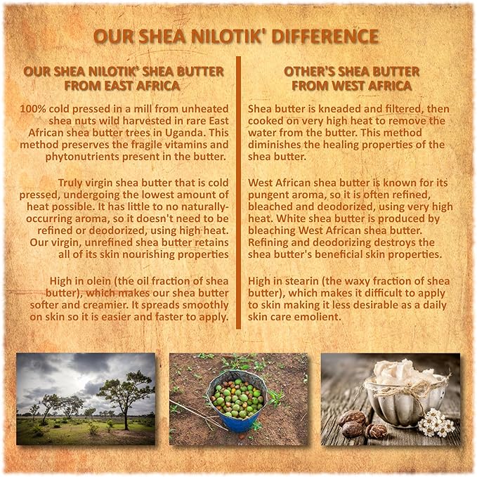Shea Terra Organics Nilotik’ Shea Butter Ultra-Rich Lotion – Dakara Frankincense | Natural Daily Moisturizer with Astringent Properties to Rejuvenate & Soothe Dry Skin– 16 oz