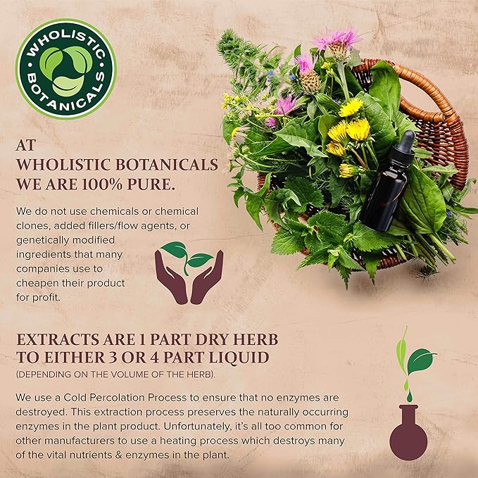 Virgin Organic Shea Butter — Softening Body Moisturizer, Organic Body Butter for Face, Lips, Skin and Elbows — Vitamin E, Antioxidant, Inflammatory Response — 4 oz