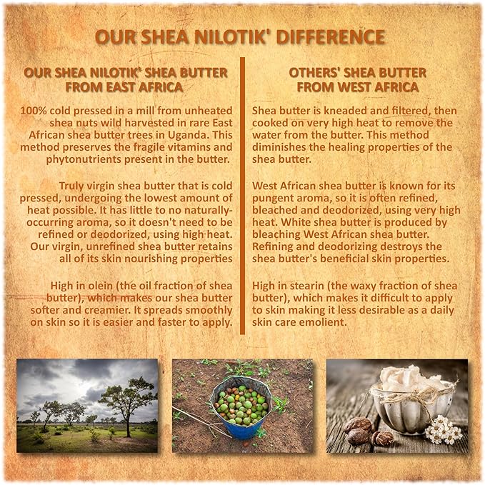 Shea Terra Organics Nilotik’ Shea Butter Ultra-Rich Lotion – Mango | Natural Daily Moisturizer High in Vitamins, Minerals & Fatty Acids with Antioxidant Properties to Soften & Protect Dry Skin– 16 oz