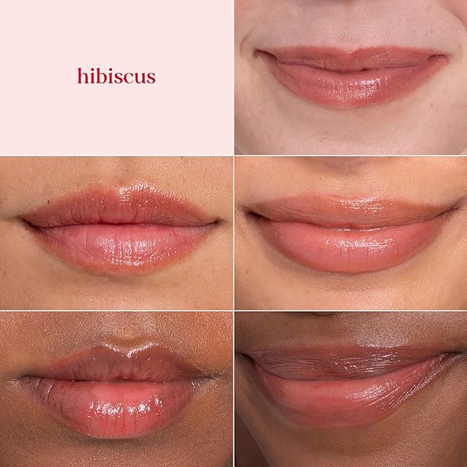 Burt's Bees Lip Tint Balm, Long Lasting 2 in 1 Duo Tinted Balm Formula, Color Infused with Hydrating Shea Butter for a Natural Looking Buildable Finish, Hibiscus, 1 Tube (Pack of 2)
