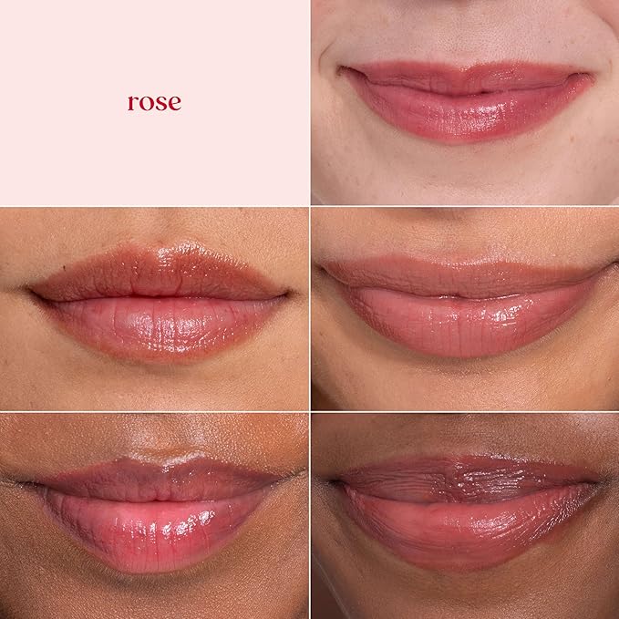 Burt's Bees Lip Tint Balm, Long Lasting 2 in 1 Duo Tinted Balm Formula, Color Infused with Hydrating Shea Butter for a Natural Looking Buildable Finish, Rose, 1 Tube