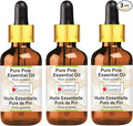 Greenwood Essential Pure Pine Essential Oil (Pinus sylvestris) with Glass Dropper Steam Distilled (Pack of Three) 100ml X 3 (10.1oz)